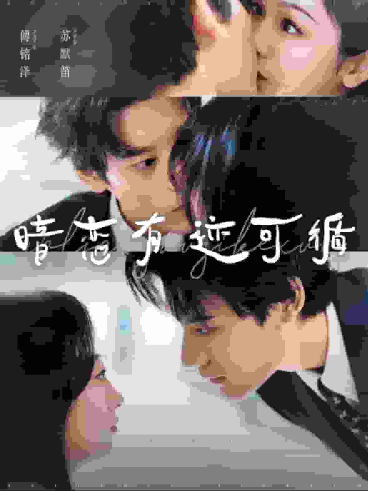 暗恋有迹可循第91集
