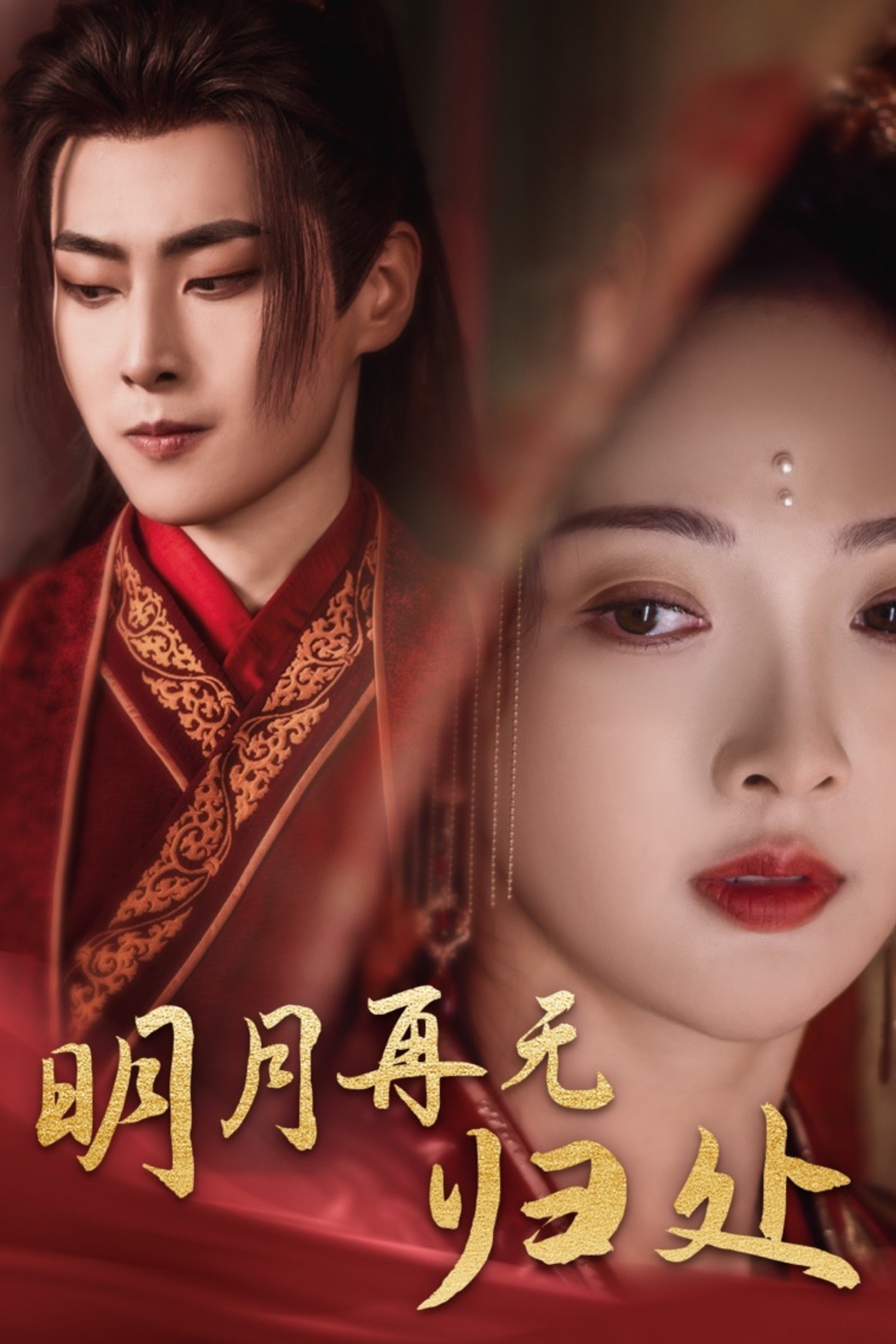 明月再无归处第16集