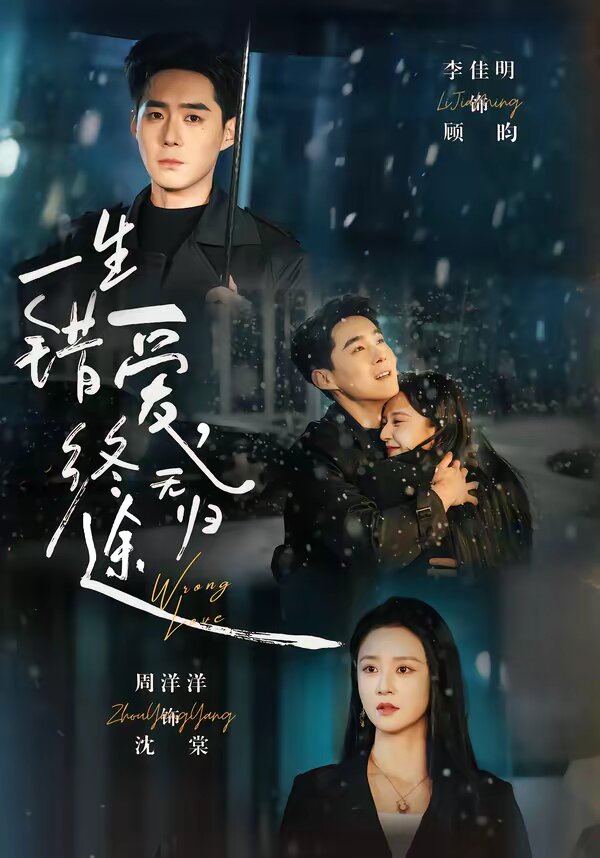 一生错爱，终无归途第02集