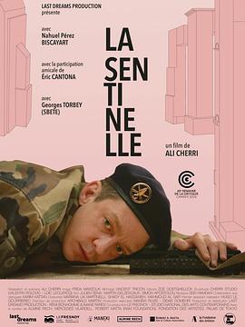 哨兵2026