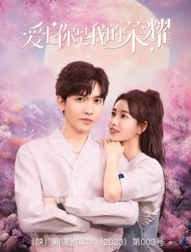 爱上你是我的荣耀第08集