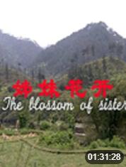 姊妹花开(全集)