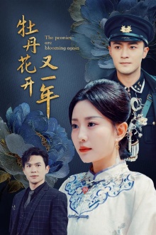 牡丹花开又一年第29集