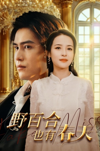 野百合也有春天短剧第64集