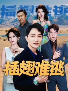 插翅难逃2第37集