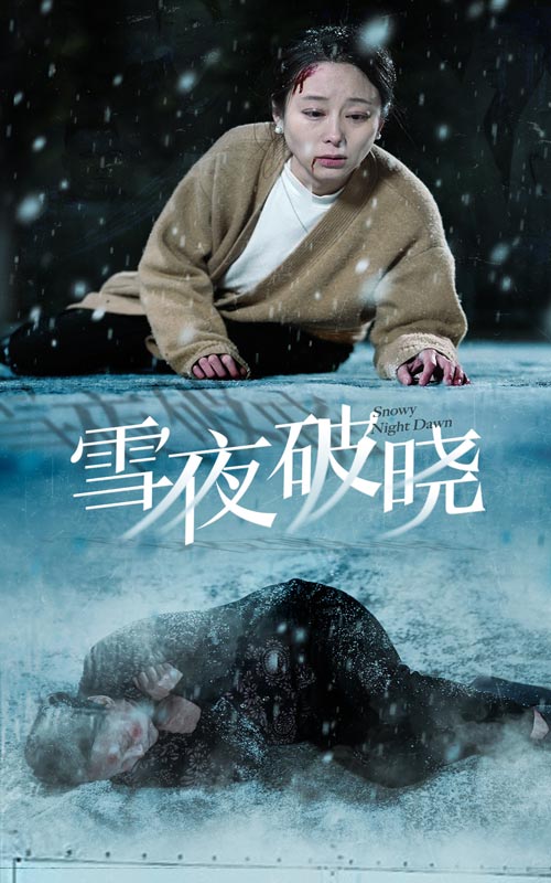 雪夜破晓第18集