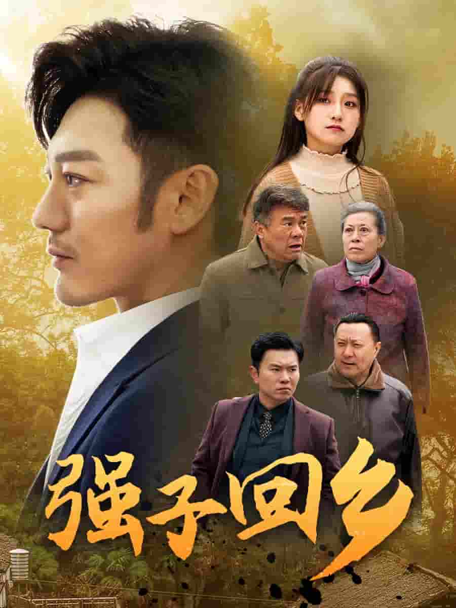 强子回乡第15集