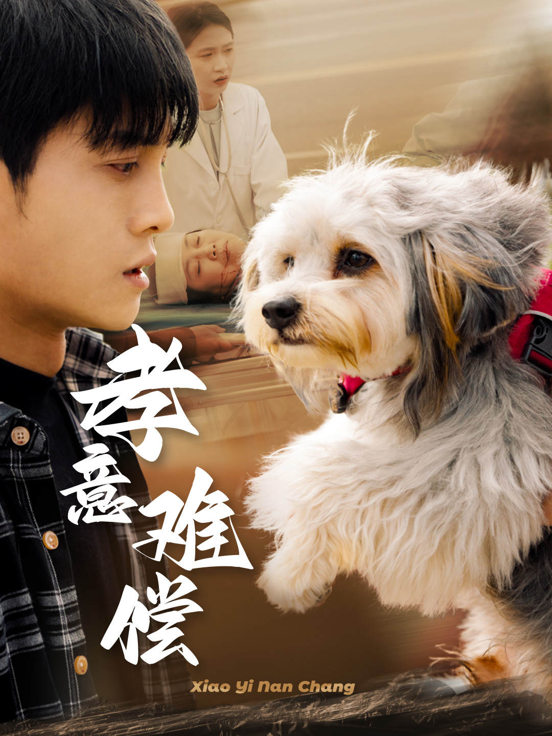 孝意难偿第32集(大结局)