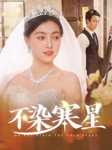 不染寒星第28集