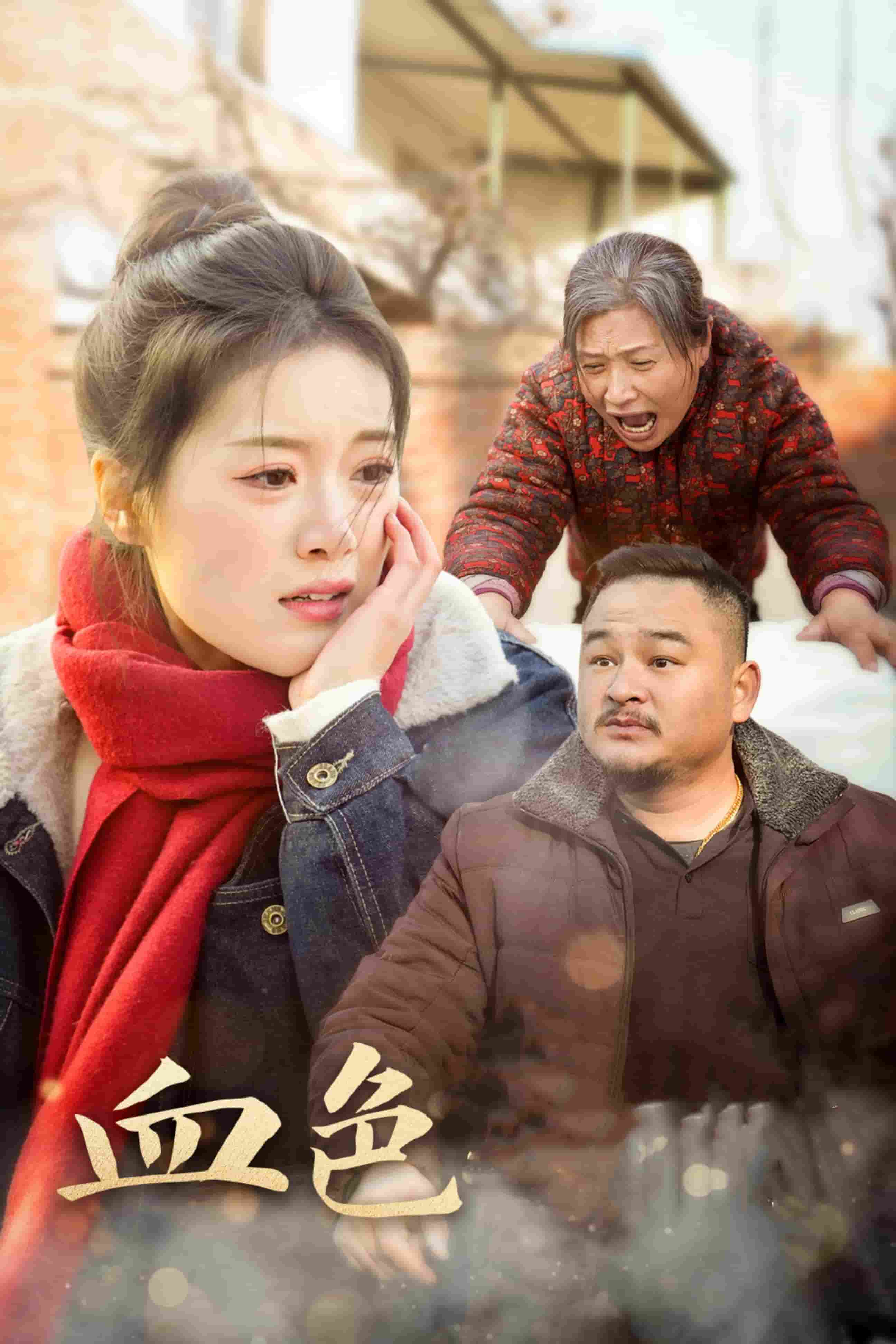 血色亲情第19集