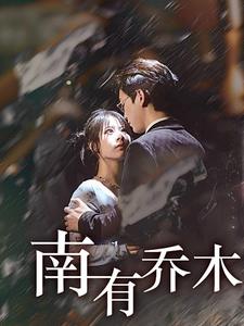 南有乔木第30集