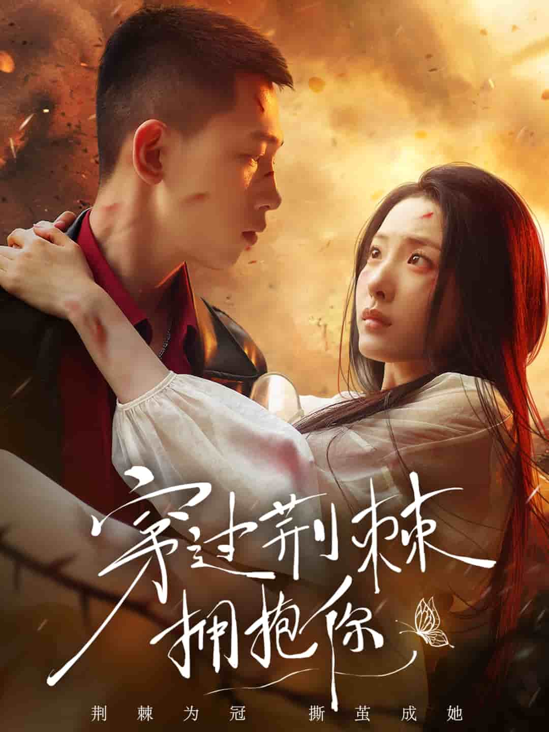 穿过荆棘拥抱你(全集)