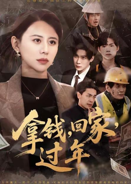 拿钱，回家，过年(全集)